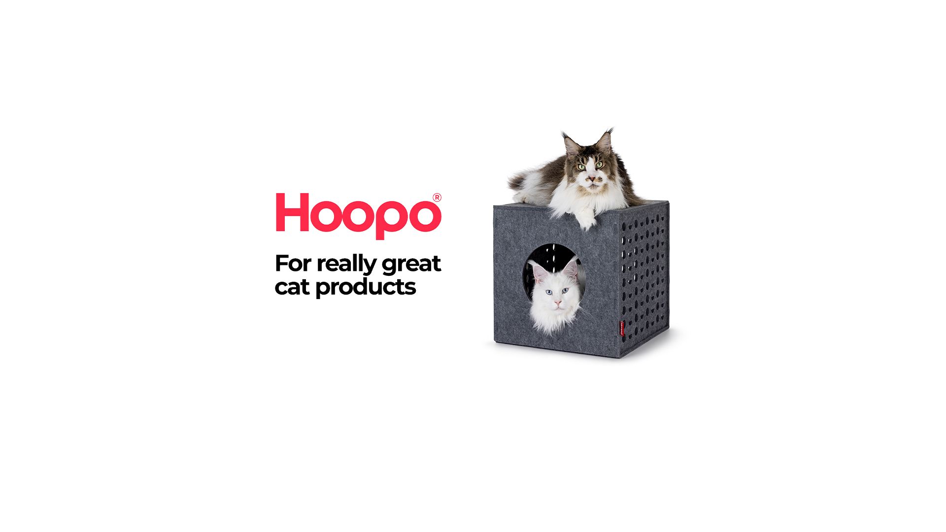 Hoopo. For really great cat products.